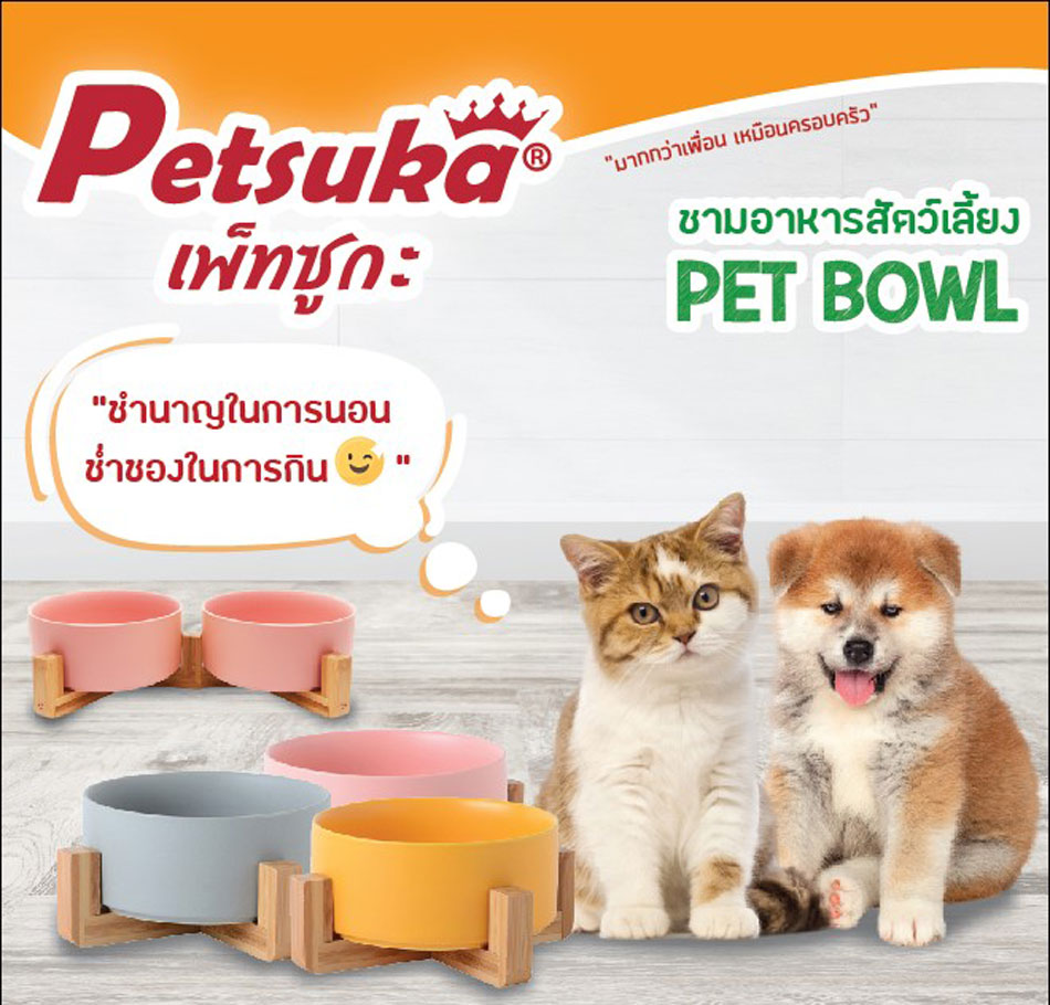ชามเซรามิคสัตว์เลี้ยง Petsuka พร้อมฐานรองสไตล์ญี่ปุ่น สำหรับสุนัขและแมว สีเทา แบบคู่