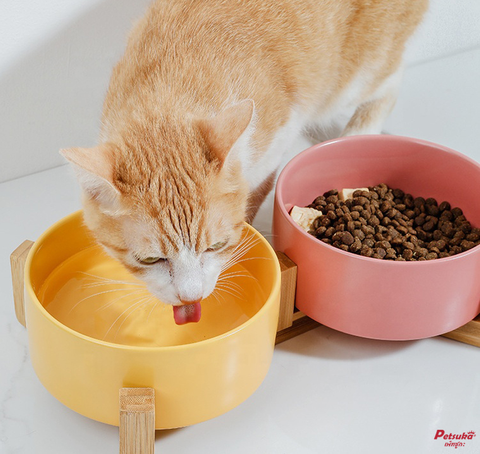 ชามอาหารสัตว์เลี้ยง Petsuka สุนัขและแมว สีชมพู