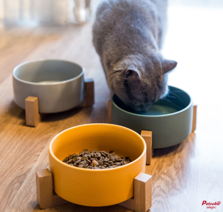 ชามอาหารสัตว์เลี้ยง Petsuka สุนัขและแมว สีชมพู